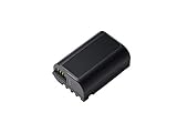 Panasonic DMW-BLK22E Aufladbarer Lithium Ion Akku, 7.2V, 2.200 mAh (für LUMIX Digitalkamera: DC-S5, G9, GH5, GH5S)