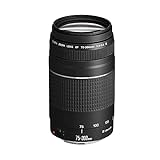 Canon EF 75-300mm F4-5.6 III