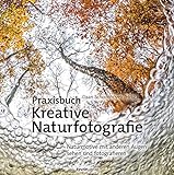 Praxisbuch Kreative Naturfotografie: Naturmotive mit anderen Augen sehen und fotografieren